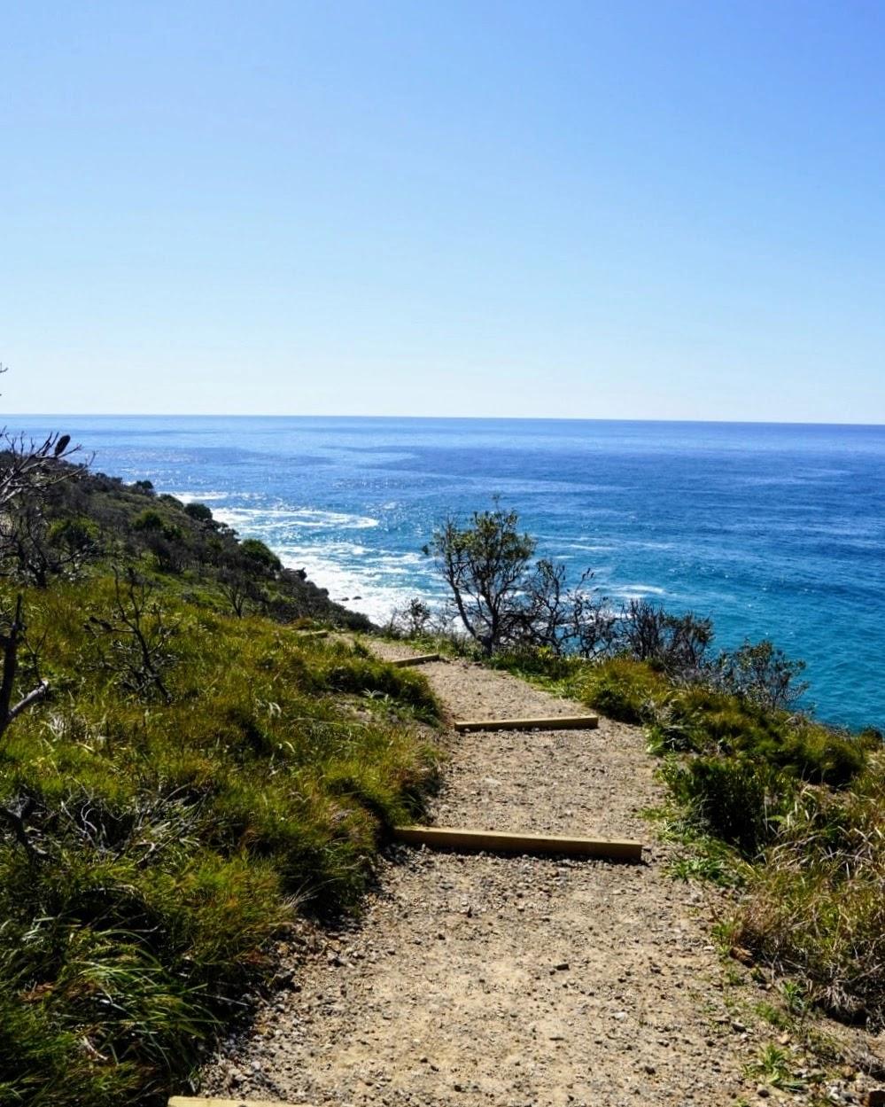 Sandee Little Shelley Beach Photo