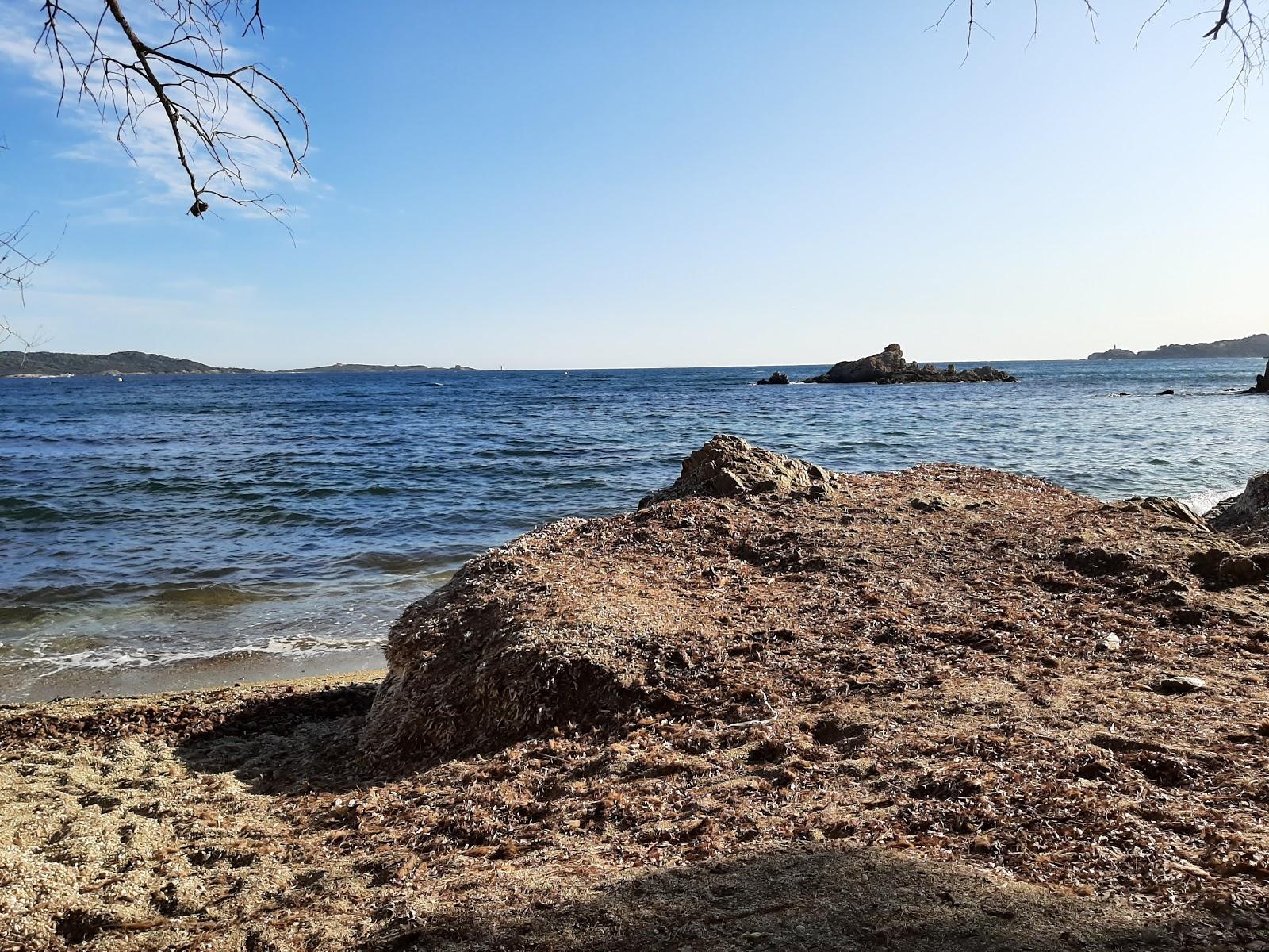 Sandee Plage Du Gabian Photo