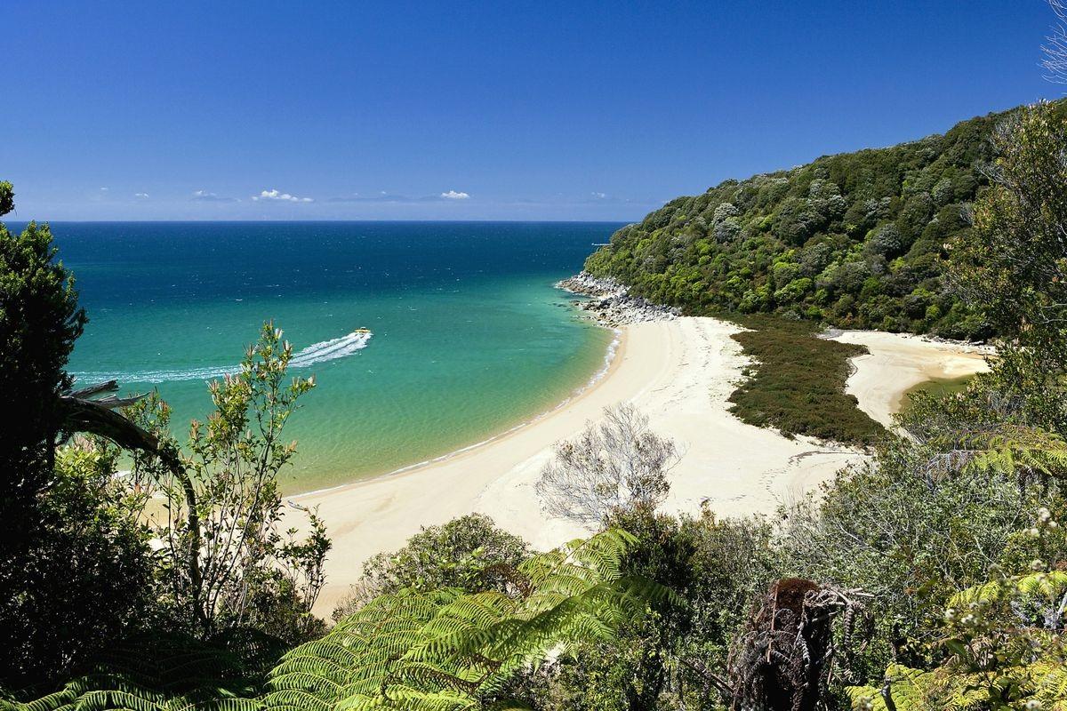 Sandee - Awaroa Beach