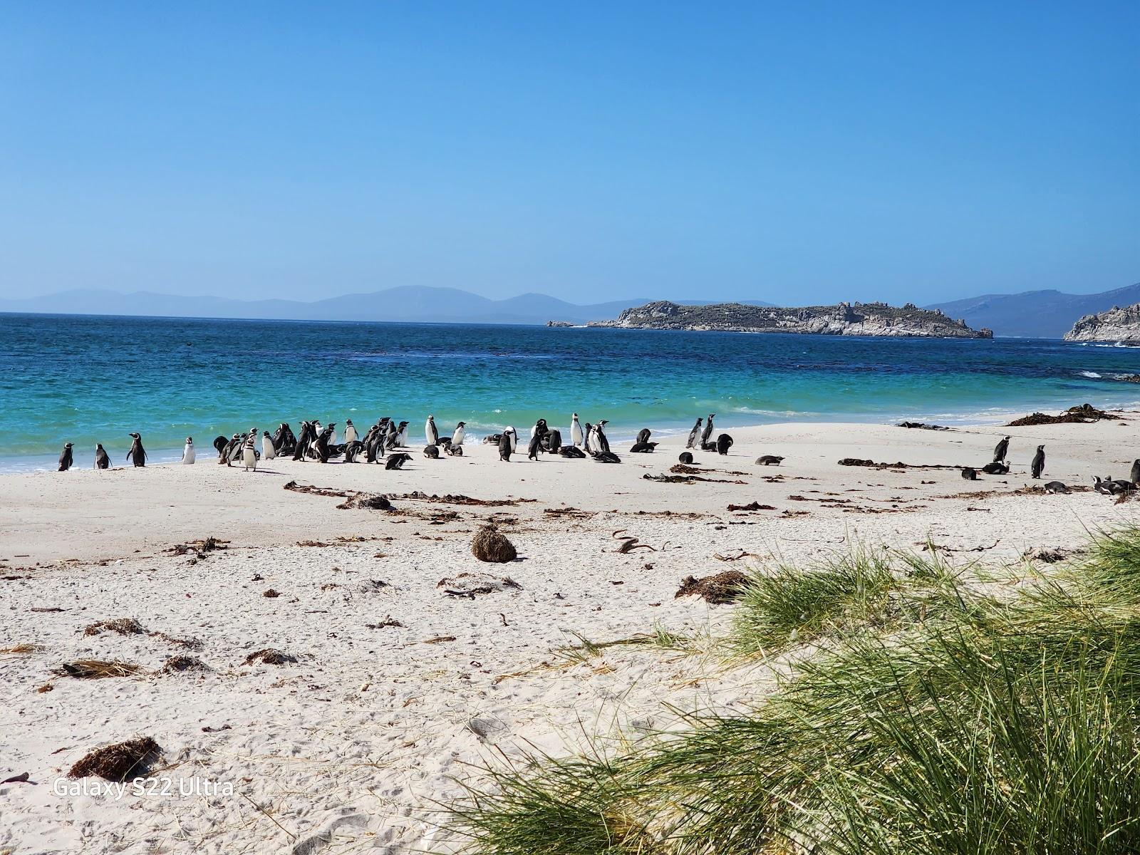 Sandee Leopard Beach