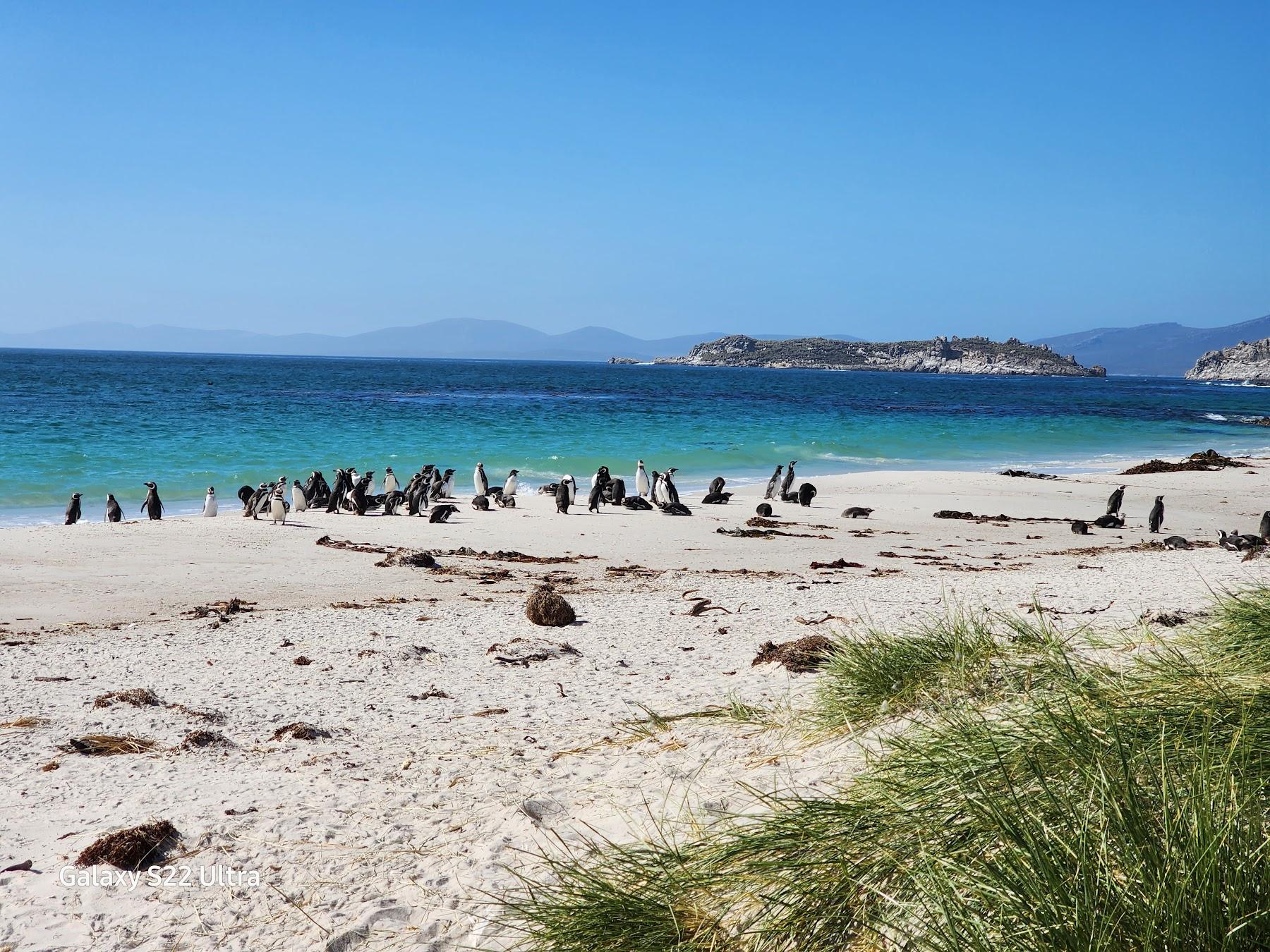 Sandee Leopard Beach Photo