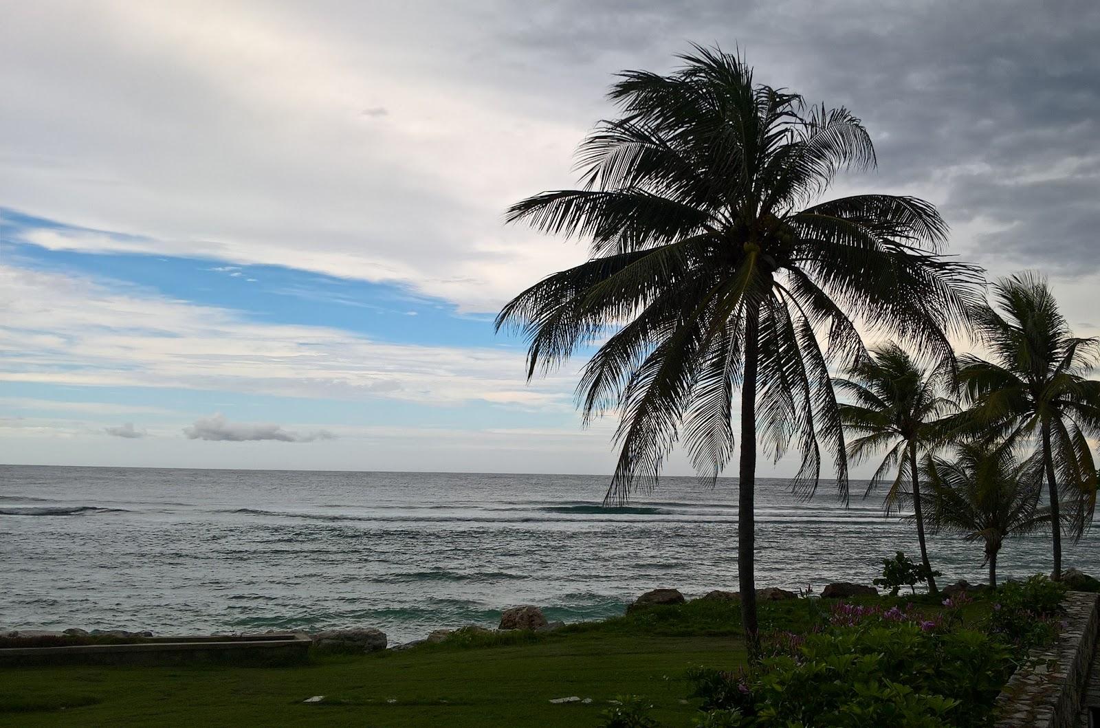 Sandee Dunns River Falls And Beach Photo