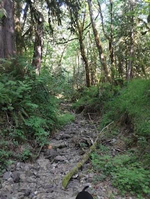 Sandee - Tilton River State Park