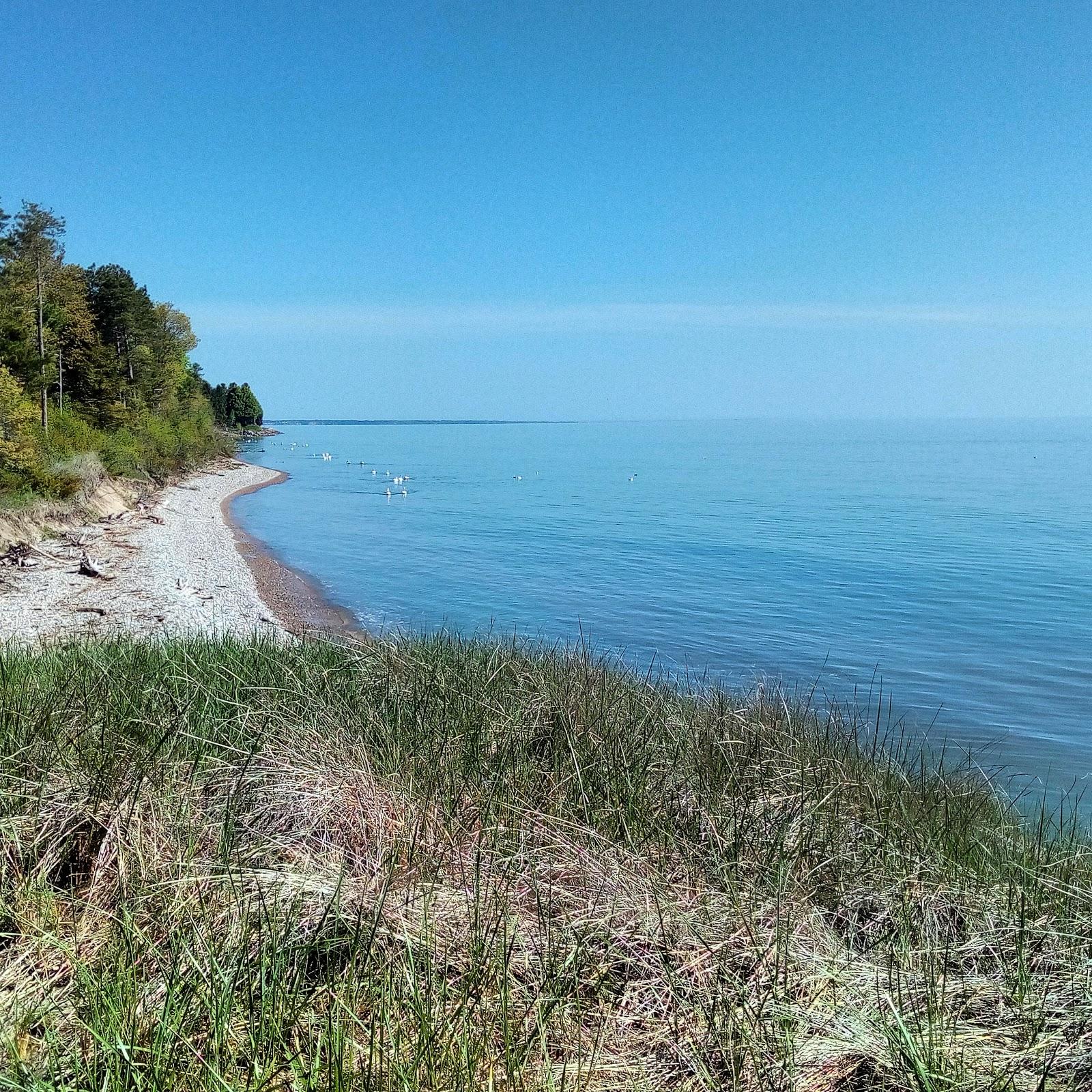 Sandee - Public Shoreline Beach State Forest Matrix Point