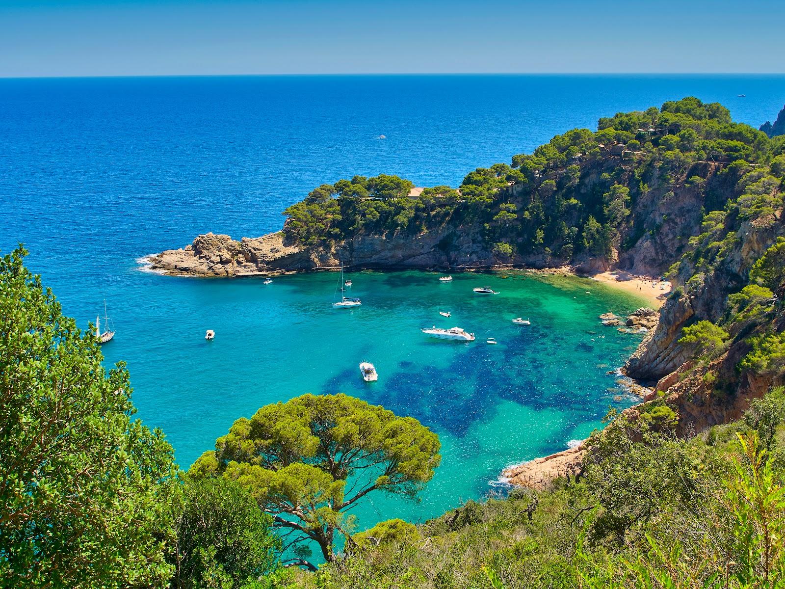 Sandee - HomePage / Tossa de Mar
