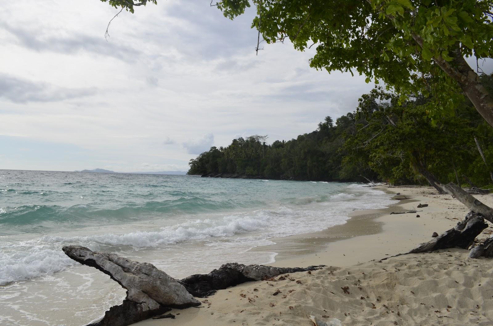 Sandee Pantai Patawana Photo