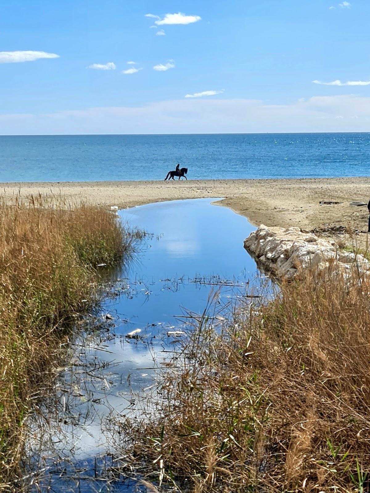 Sandee - Playa Guadalmansa