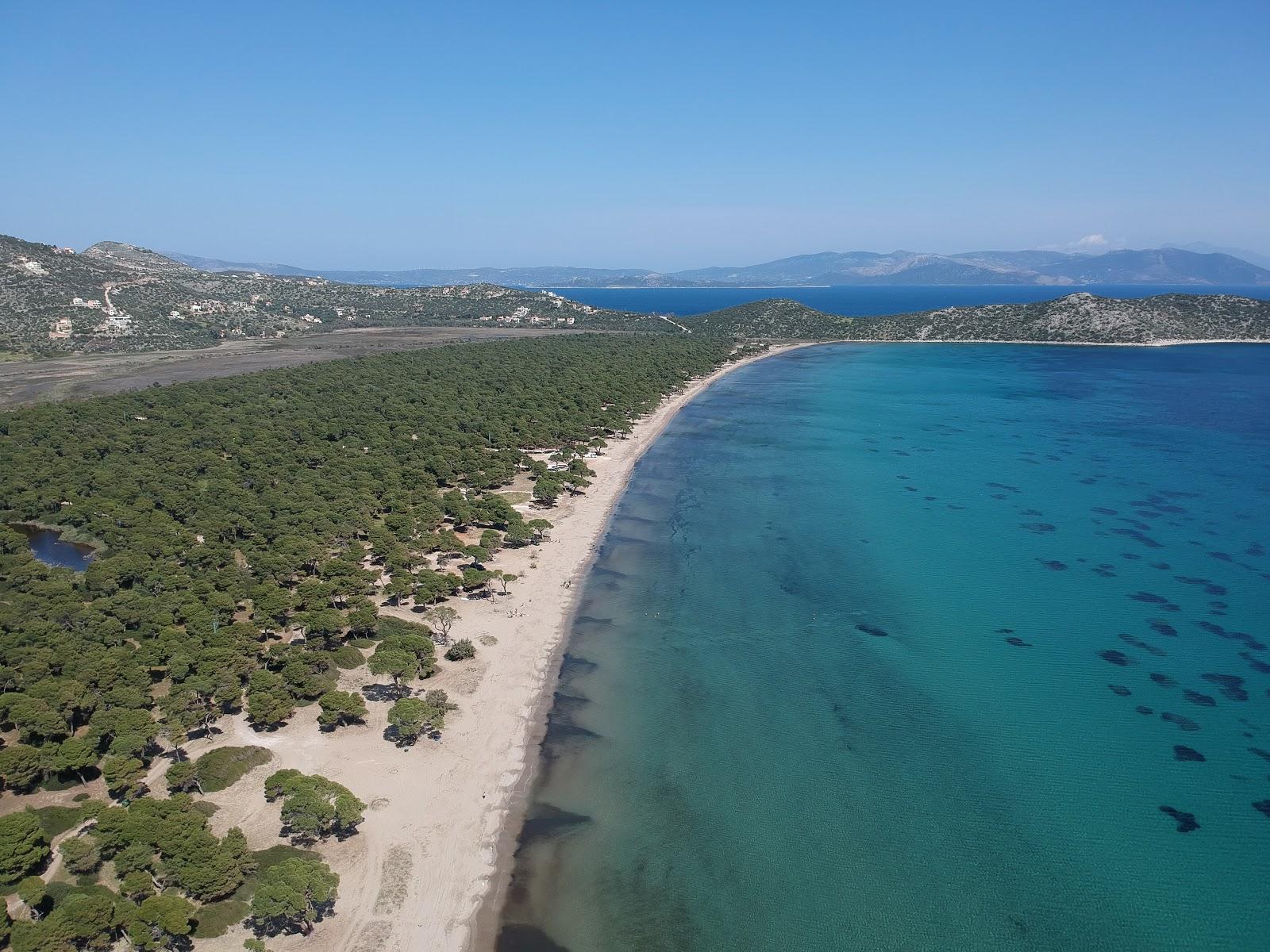 Sandee Schinia Beach