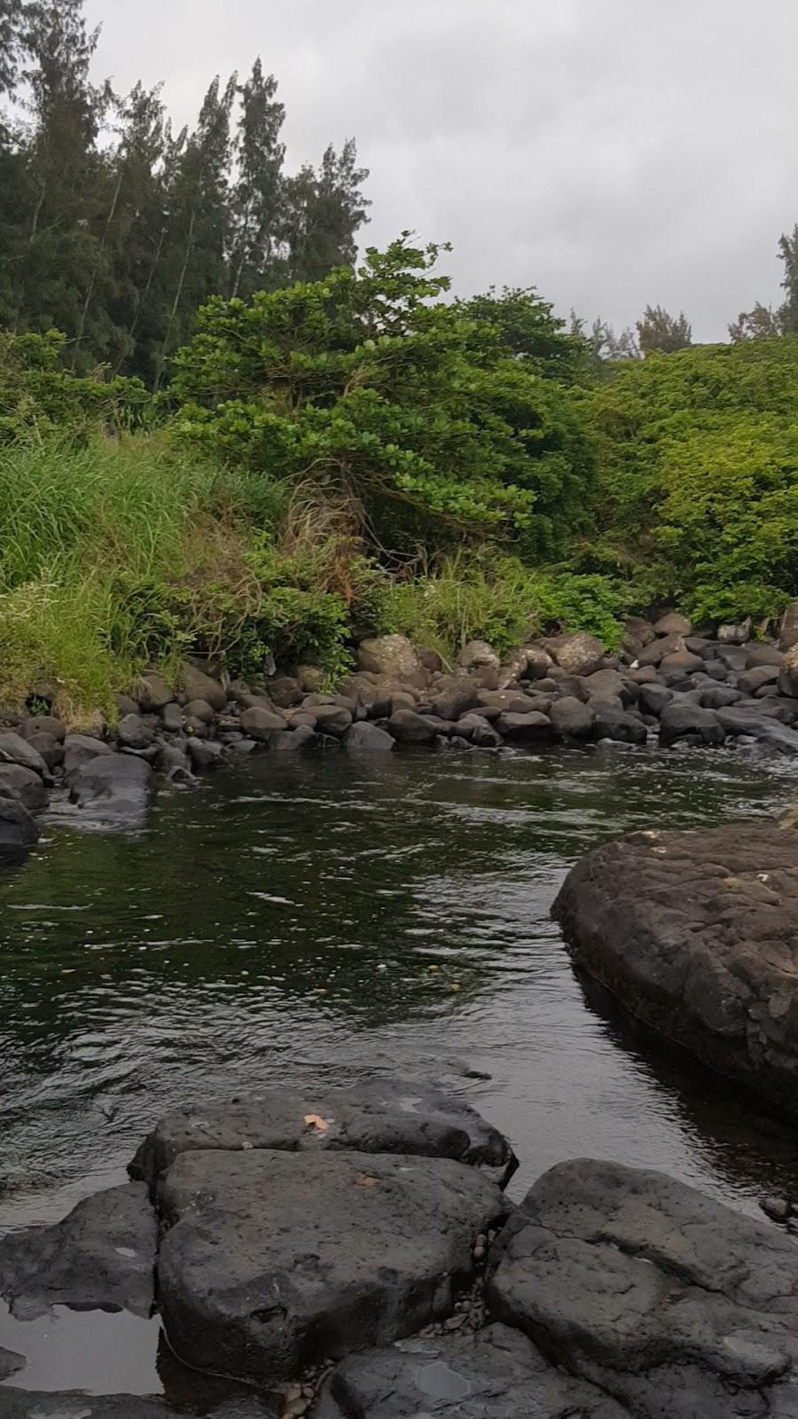 Sandee Bassin Carangue