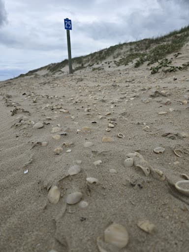 Sandee - Big Shell Beach