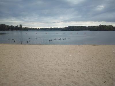 Sandee - Crab Orchard Beach