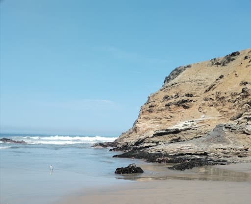Sandee - Playa Cabeza De Leon
