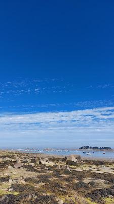 Sandee - Plage Dans L'Anse De Pellinec