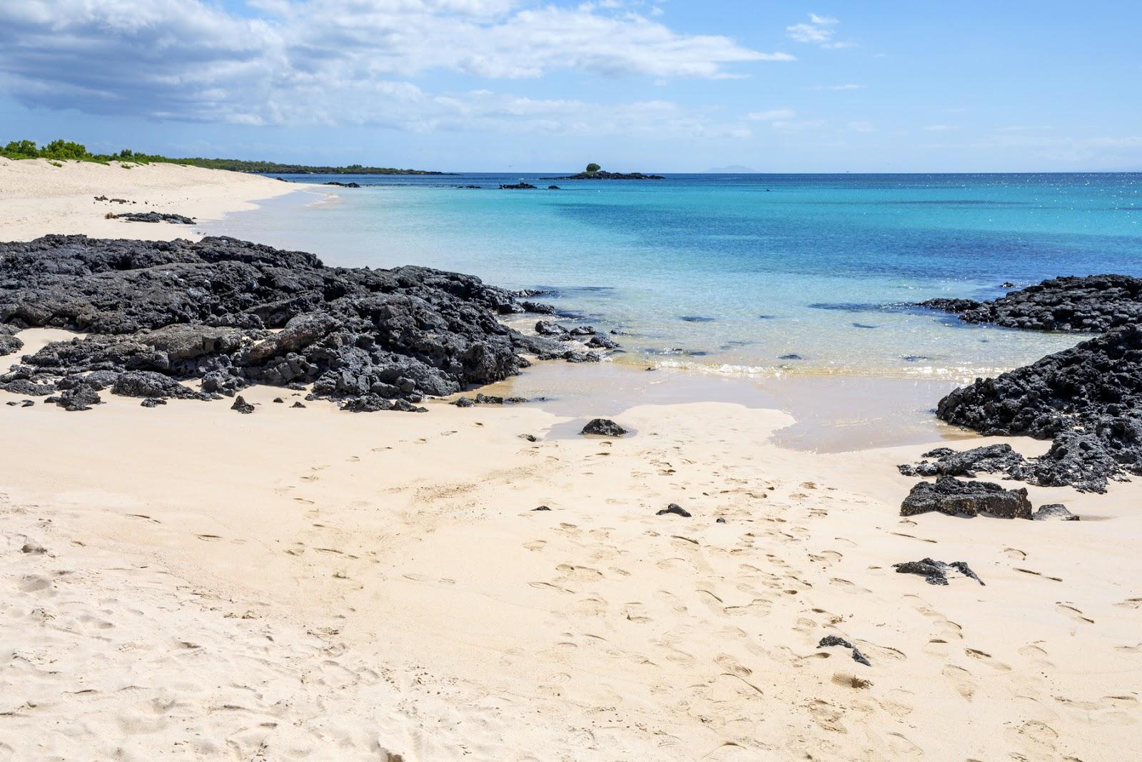 Sandee - Borrero Beach