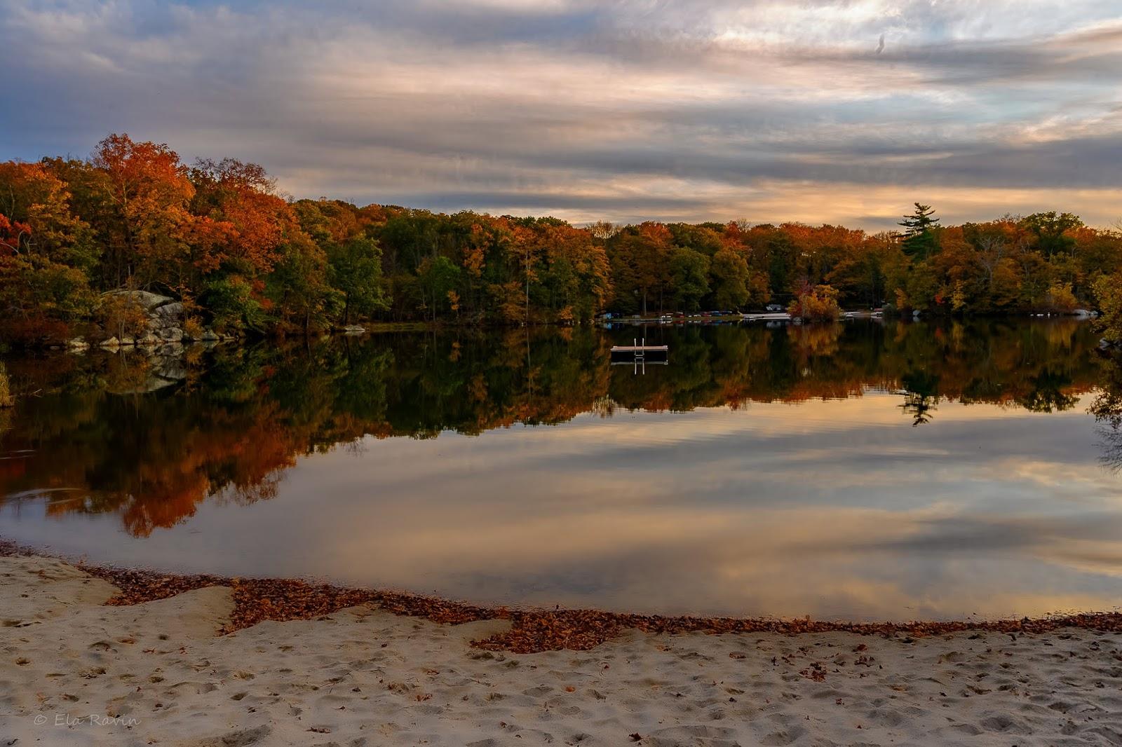 Sandee Forest Lake Photo