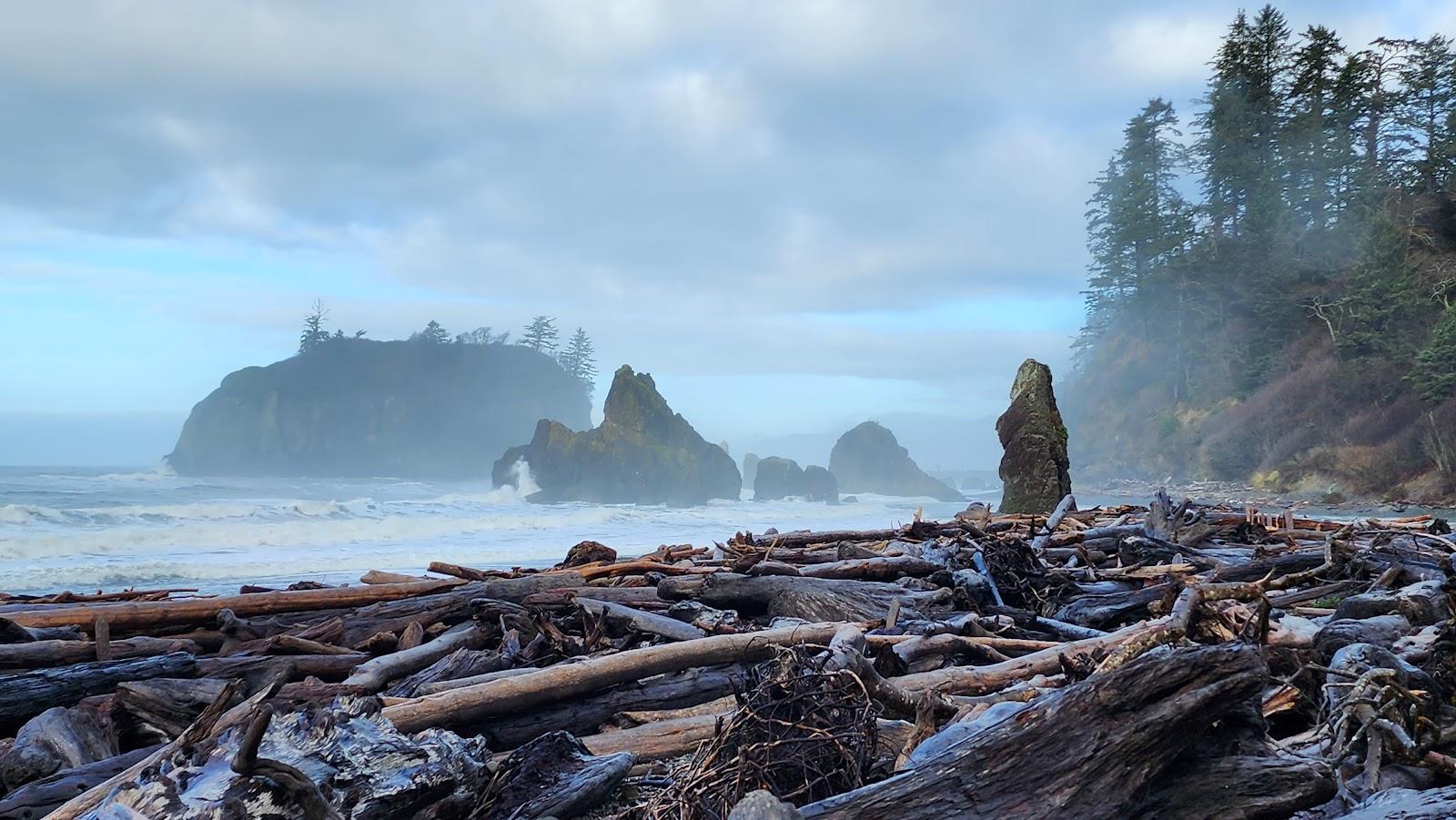 Sandee - Beach 4, Olympic National Park