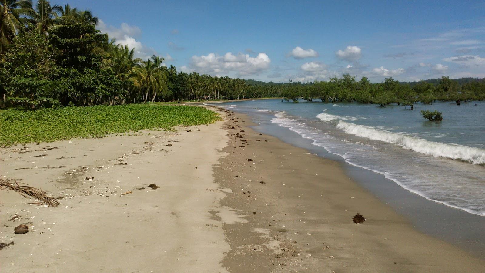 Sandee Arena Blanca Resort