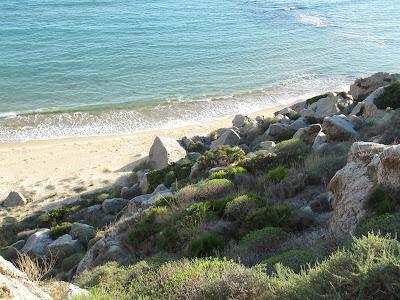 Sandee - Spiaggia Cannicella