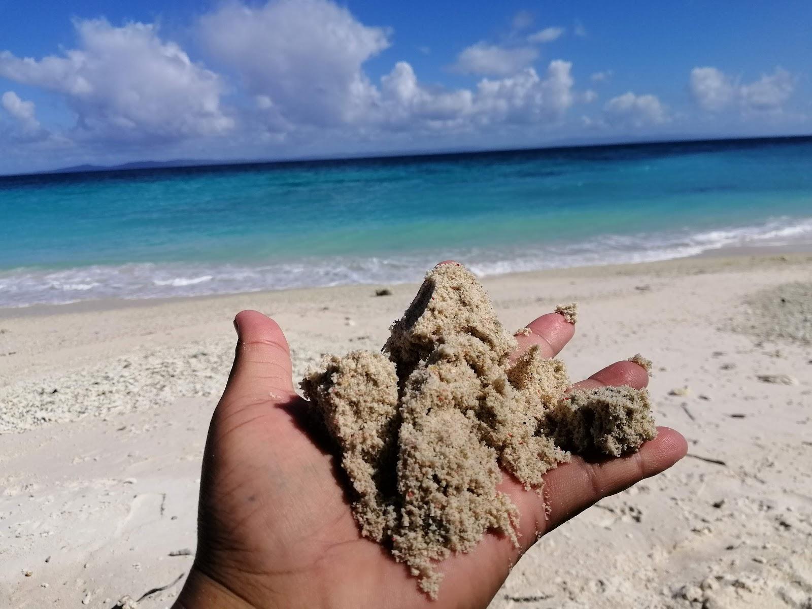 Sandee Pink Beach 1