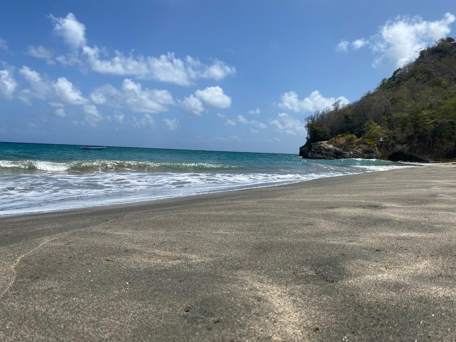 Sandee David Beach