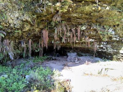 Sandee - Wilder Ranch State Park - Fern Grotto Beach