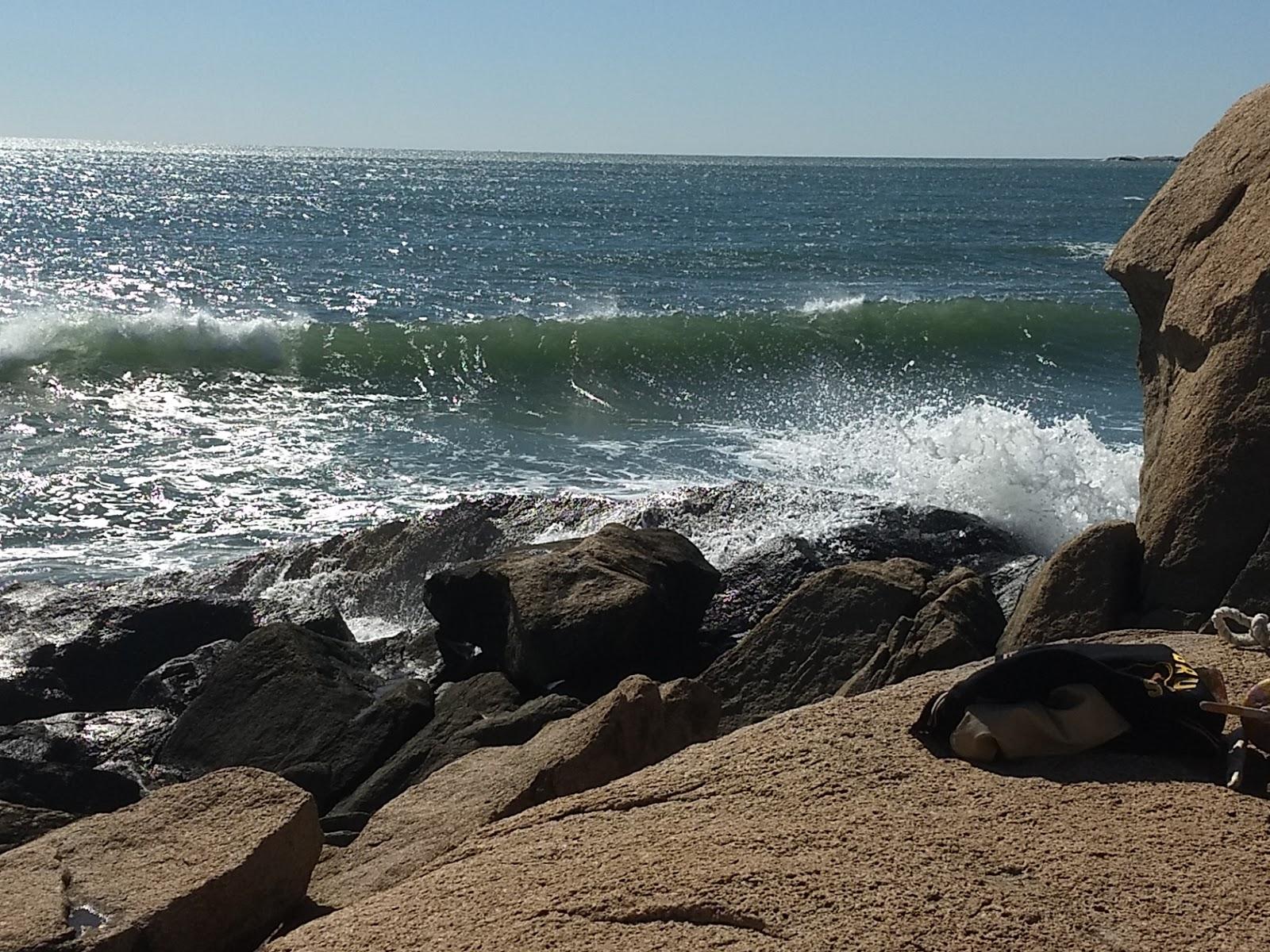 Sandee - Tappens Beach