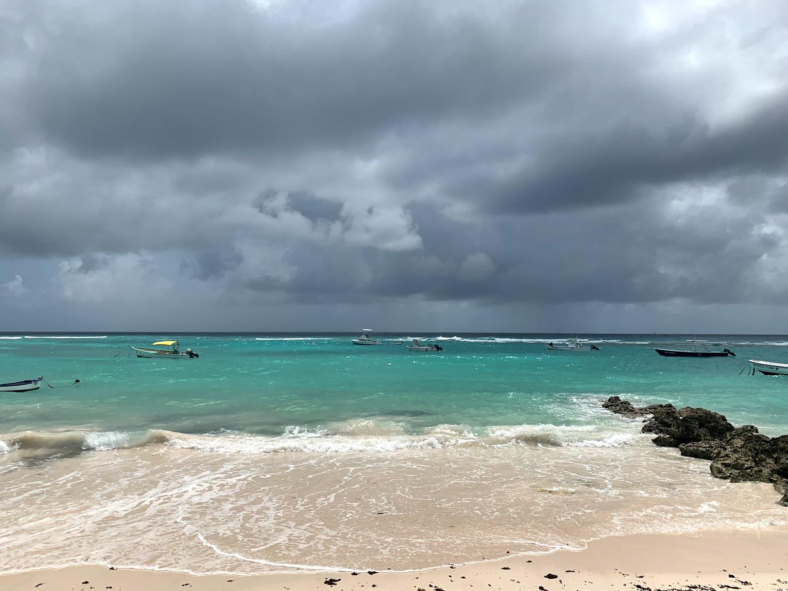Sandee Coral Sands Beach