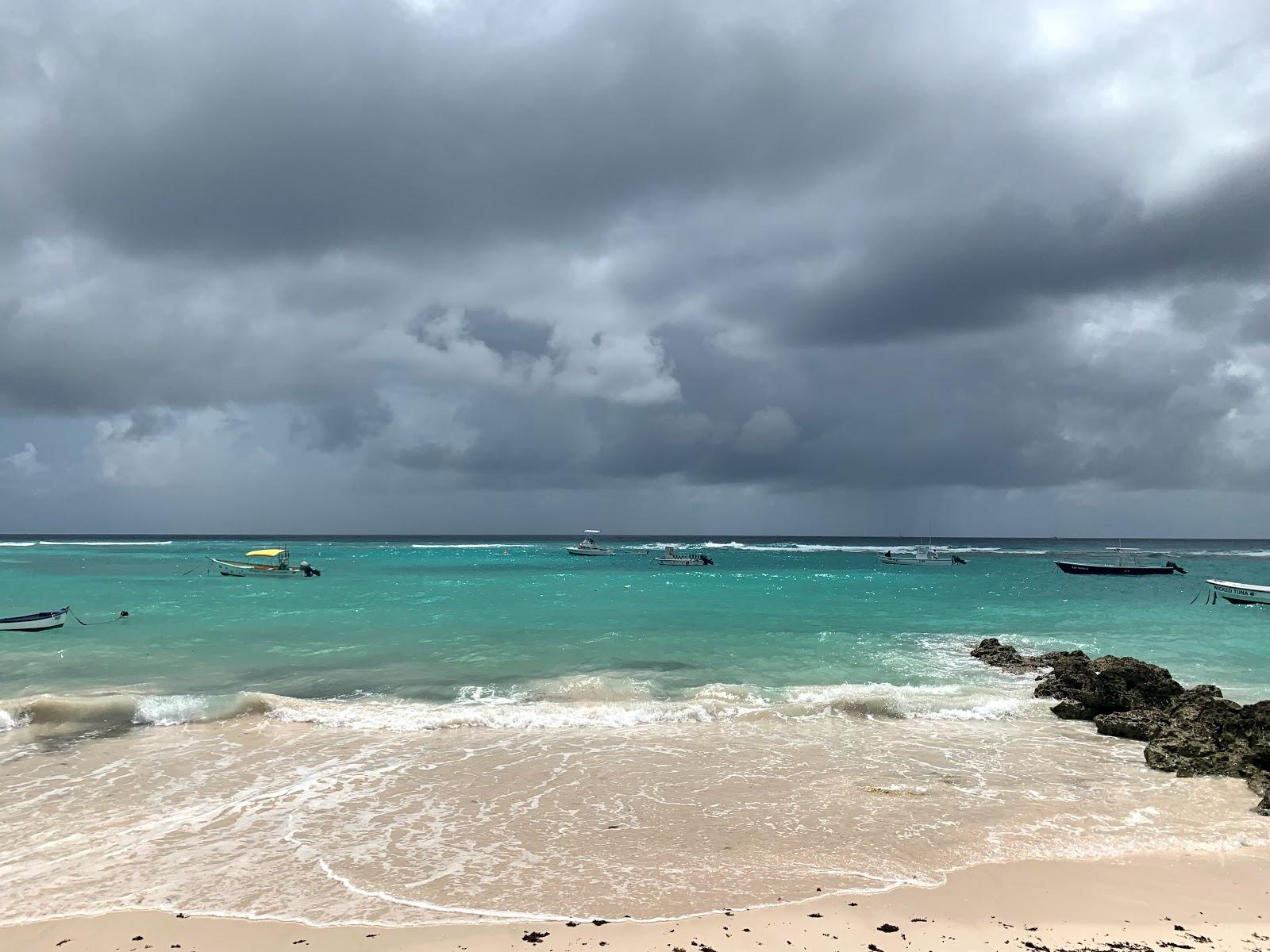 Sandee Coral Sands Beach Photo