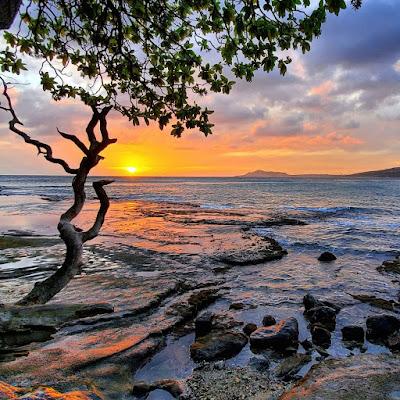 Sandee - Kokee Beach Park