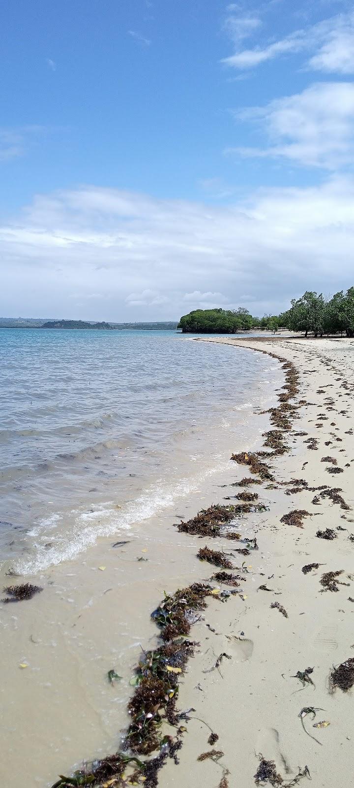Sandee Seahorse Beach