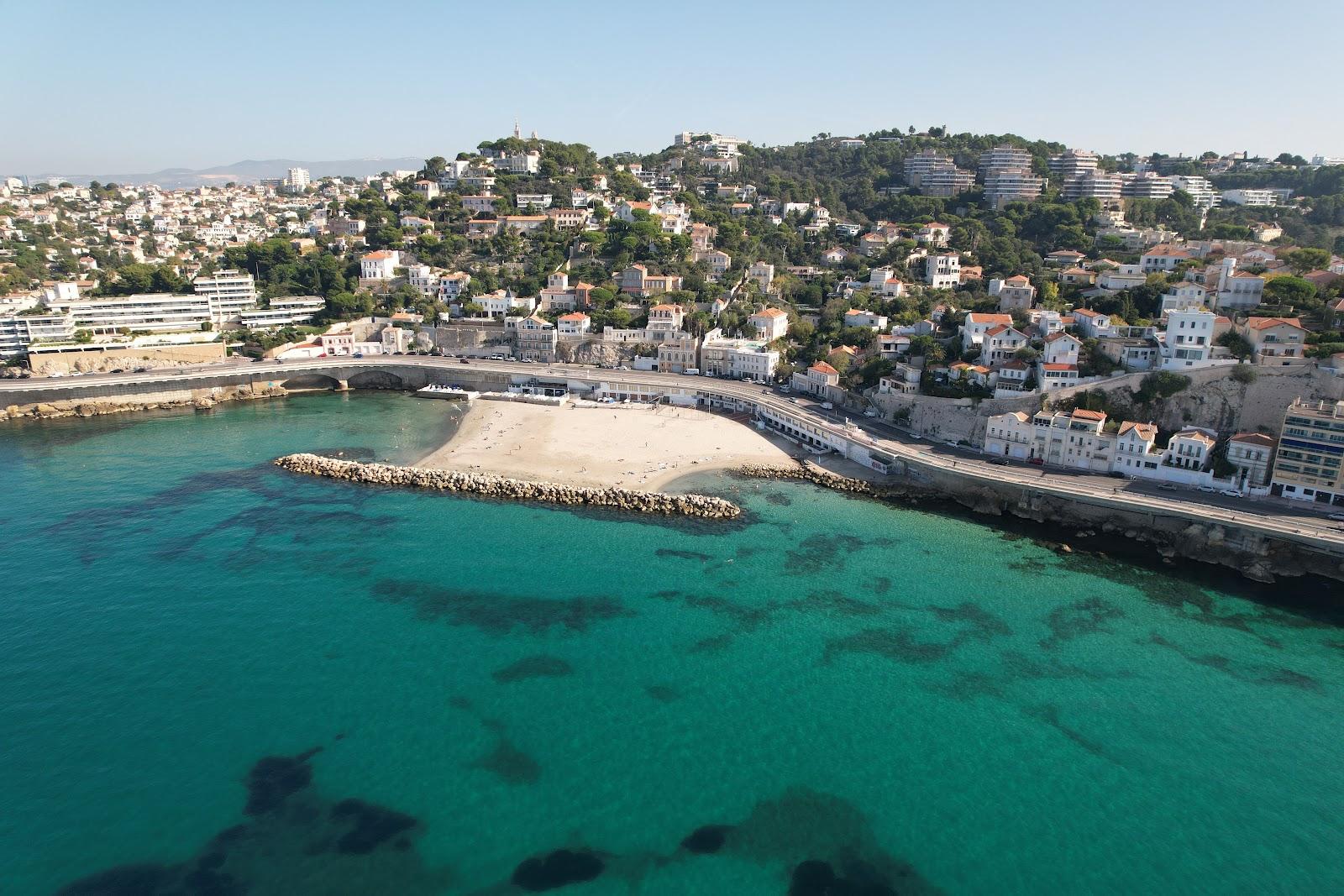 Sandee Plage Du Prophete