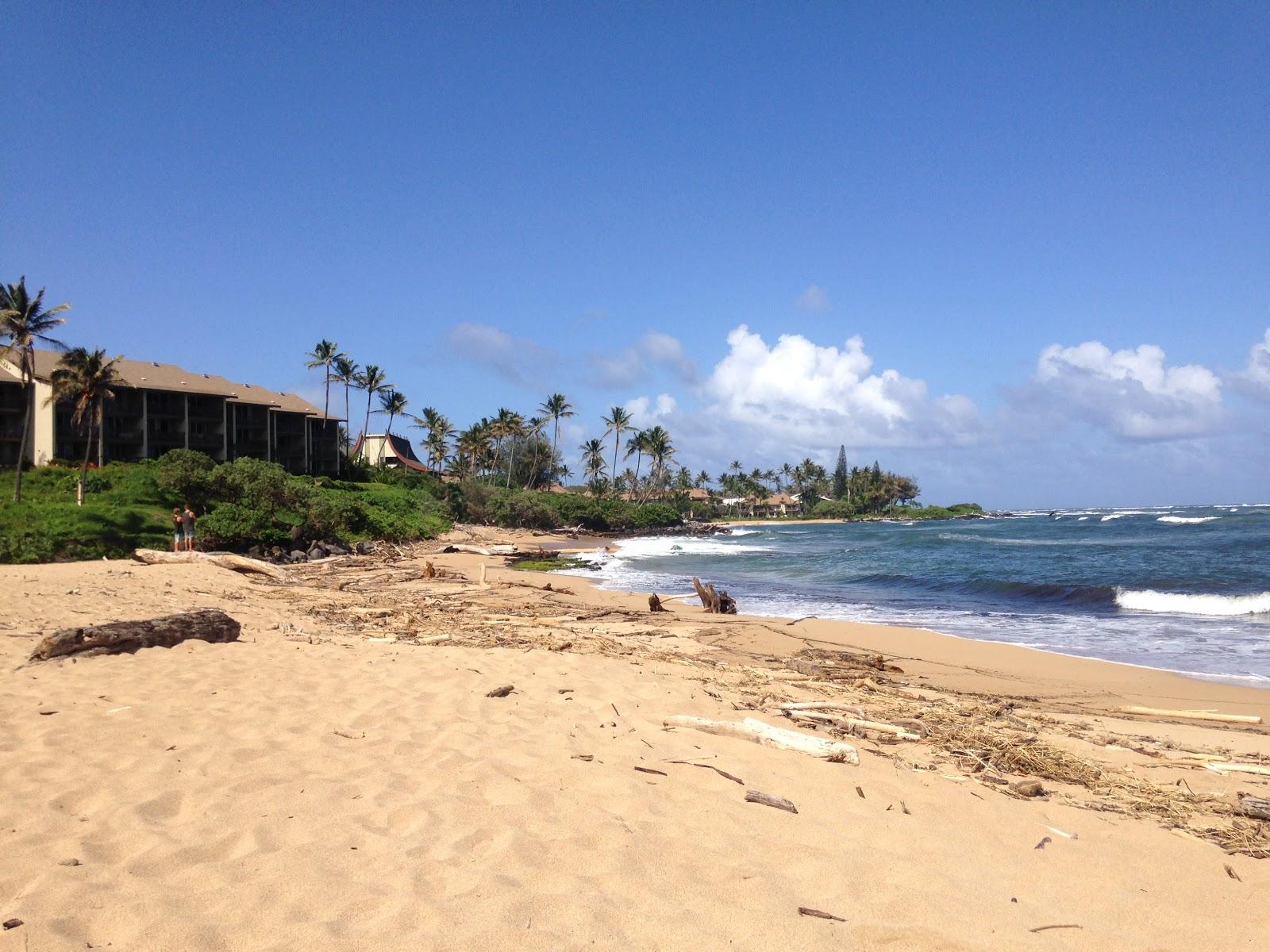 Sandee - Wailua Beach