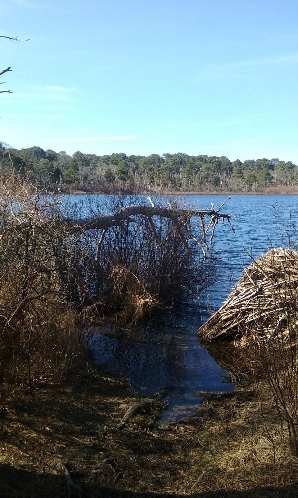 Sandee Wiley Park Beach