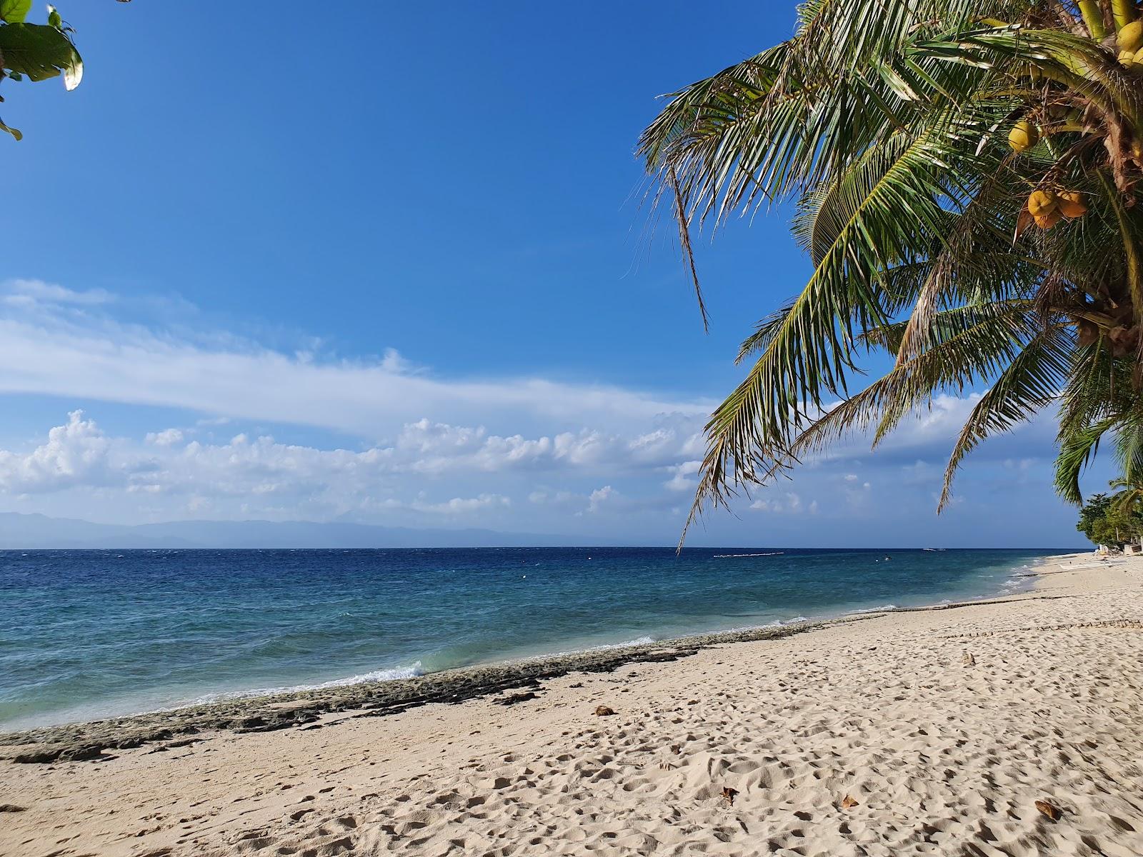 Sandee White Beach Moalboal