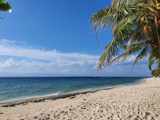 Sandee White Beach Moalboal Photo