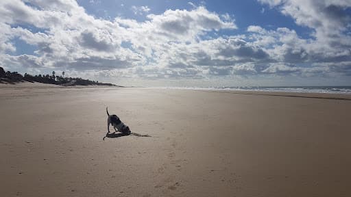 Sandee Playa De La Ballena Photo