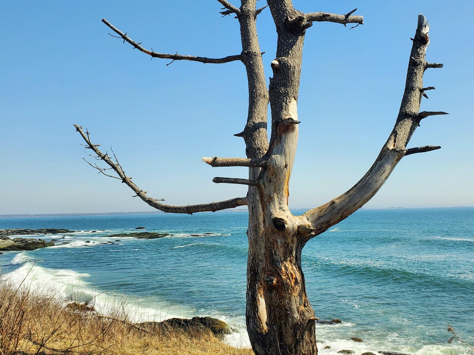 Sandee - Sachuest Point National Wildlife Refuge Visitor Center