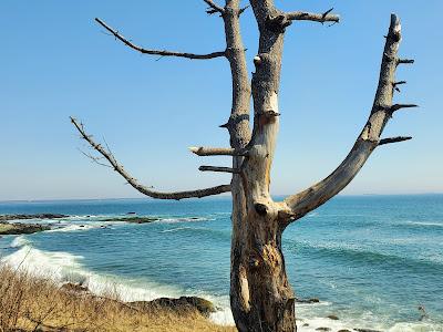 Sandee - Sachuest Point National Wildlife Refuge Visitor Center