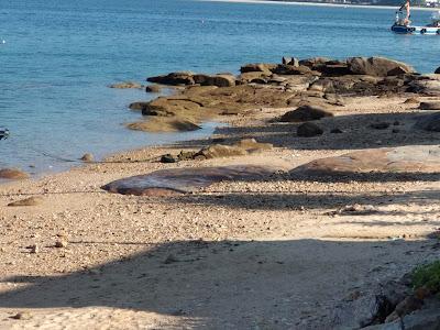 Sandee - Playa Esteiro, Boiro