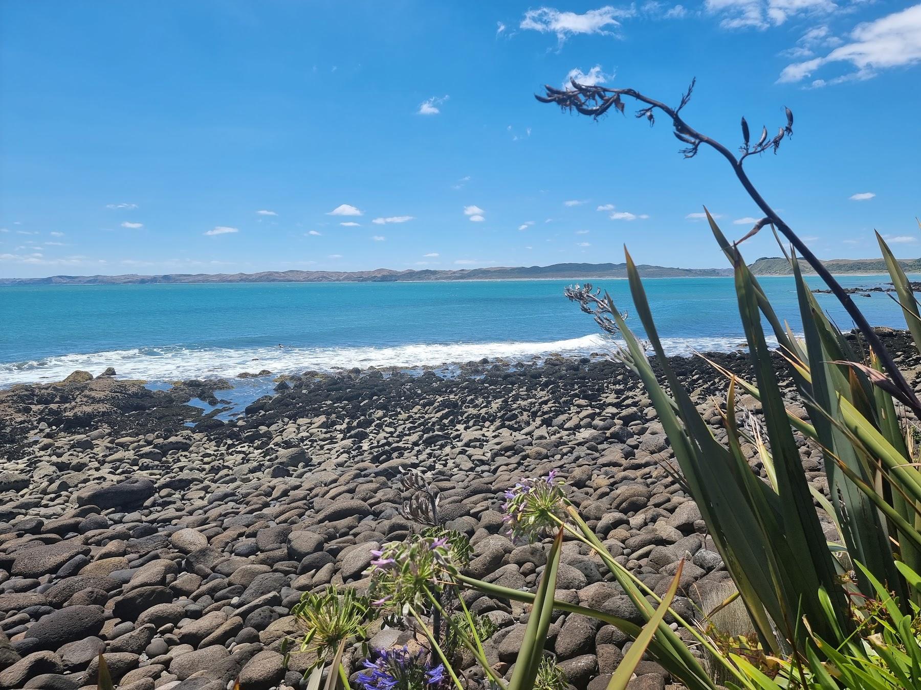 Sandee Raglan Surf Spot