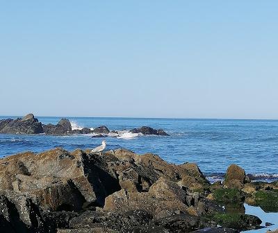 Sandee - Praia Da Insua