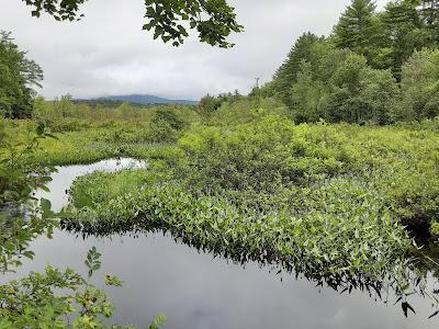 Sandee - Wadleigh State Park