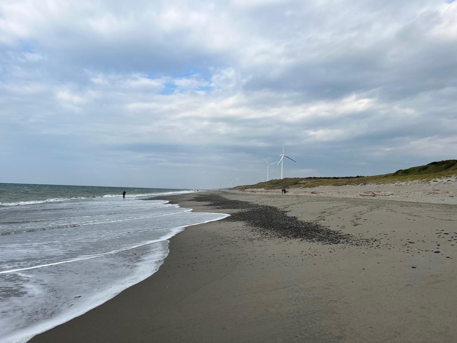 Sandee Hamaoka Sand Dunes