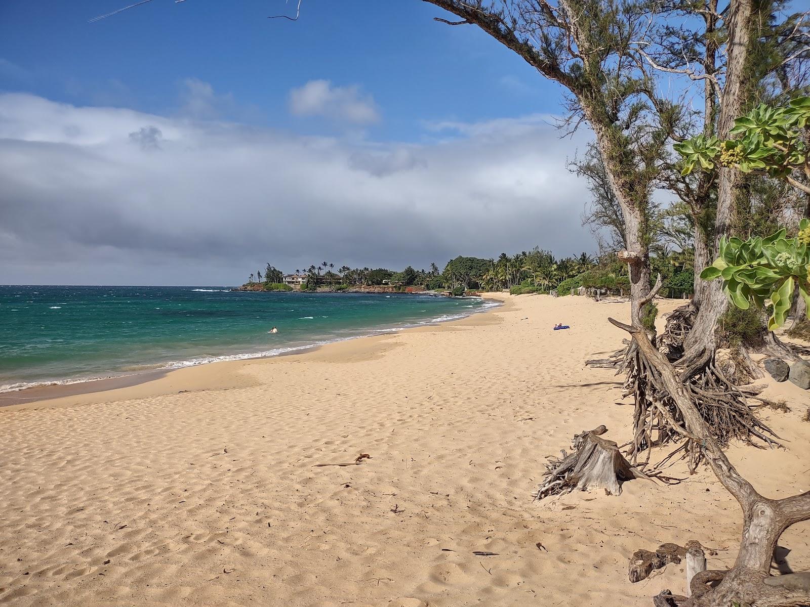 Sandee - Lower Paia Park