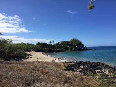 Sandee - Mau'Umae Beach