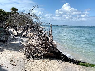 Sandee - Cayo Costa State Park