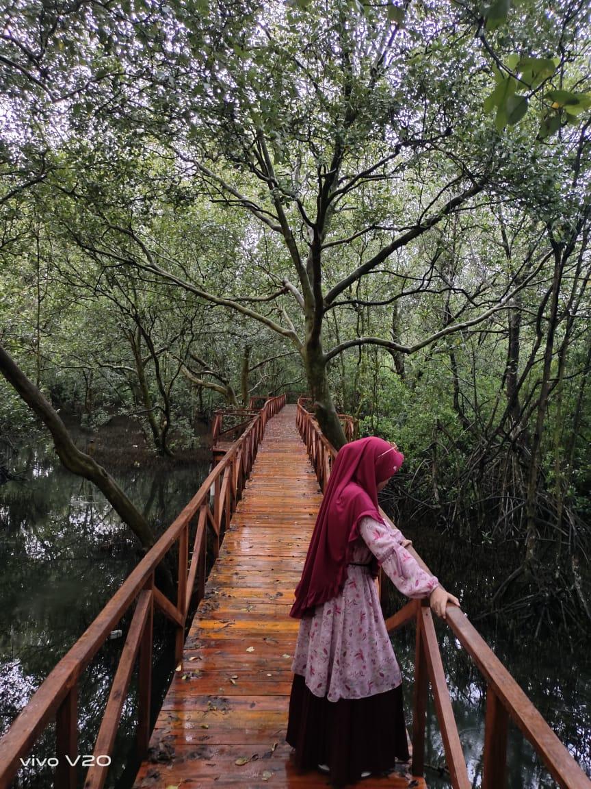 Sandee Kawasan Konservasi Hutan Mangrove
