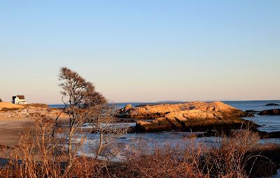 Sandee - Tappens Beach