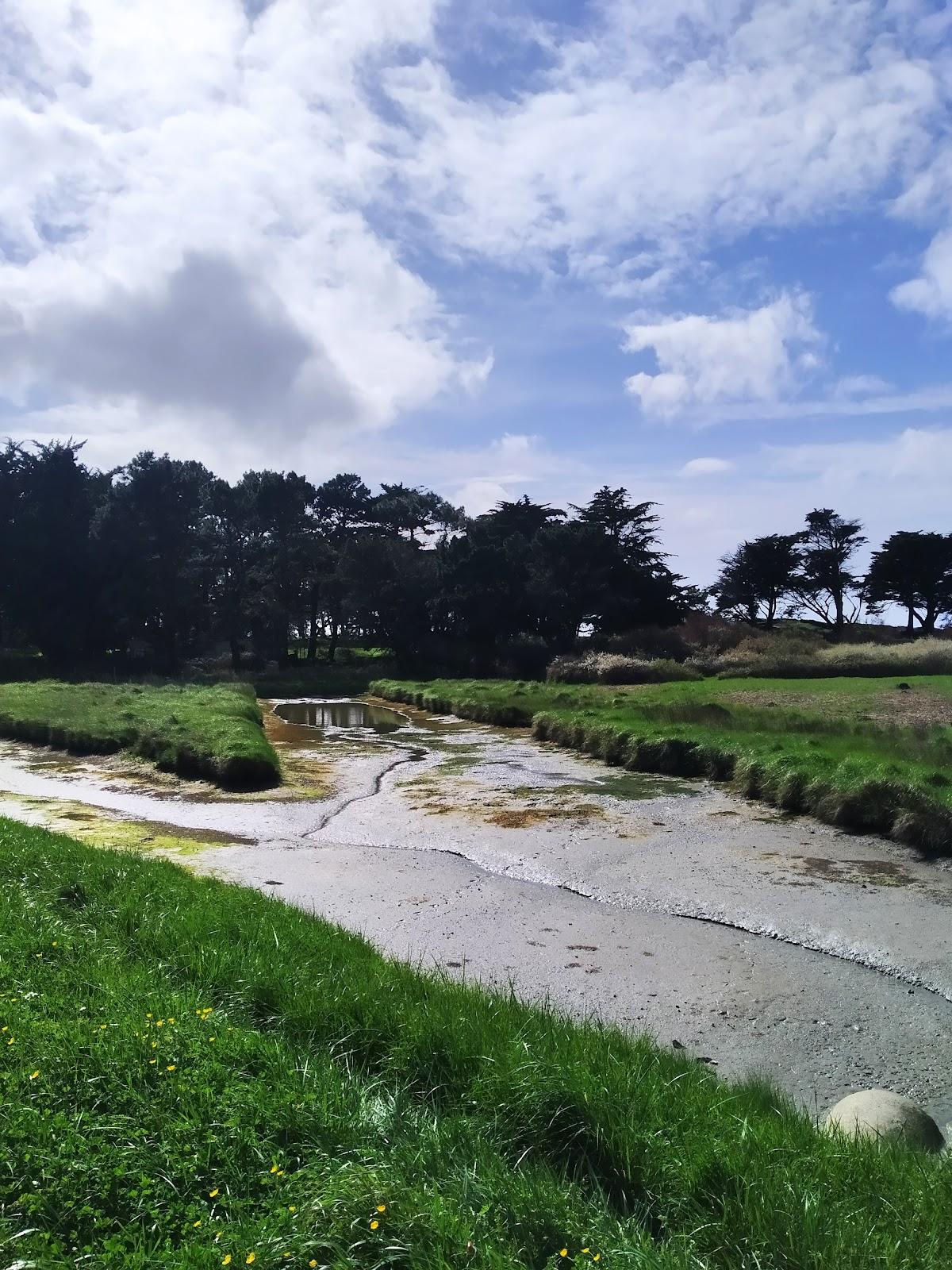 Sandee Plage De Lyarne A Les Moutiers-En-Retz Photo