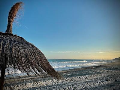 Sandee - Playa Del San Pedro De Alcantara